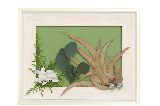 Senda (28 cm x 22cm x 2cm)