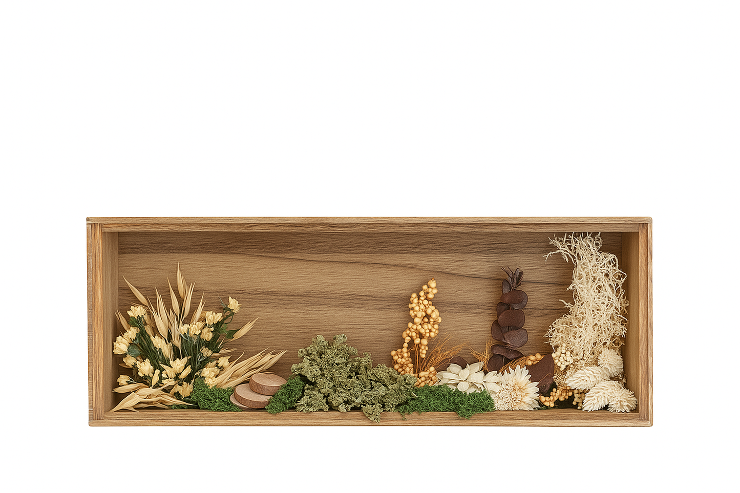 Invernadero (15cm×35cm×7cm)